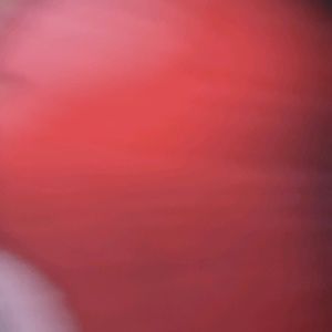 Meet your Posher, Alberto